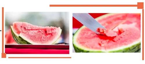 沙河吃瓜视频在线观看,揭秘网络热点的幕后故事