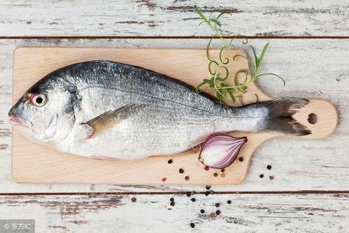 小鱼不吃鱼吃瓜视频,小鱼弃鱼食瓜的趣味日常