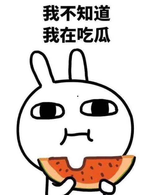 吃瓜大结局视频,揭秘真相，尘埃落定