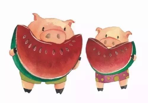 吃瓜猪猪的视频,揭秘娱乐圈幕后故事