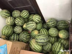 吃瓜协会最新视频,带你领略瓜界风云变幻