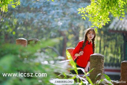 今天热门吃瓜视频下载,今日网络热议事件深度解析