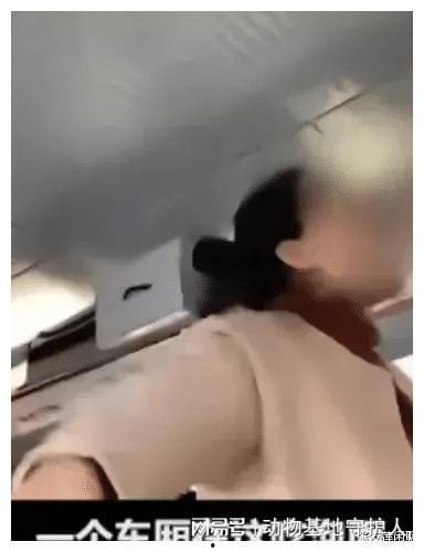 发疯吃瓜大妈视频下载,下载热潮席卷网络