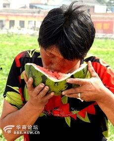 老太太一起吃瓜视频,老太太欢乐吃瓜，温馨瞬间引网友热议