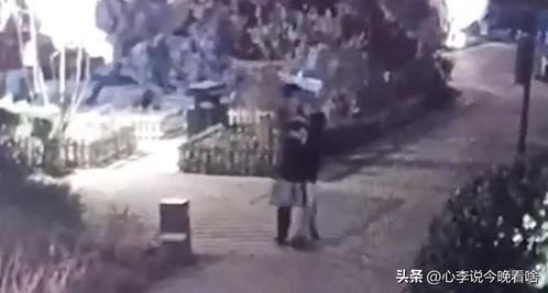 新港吃瓜事件视频完整版,视频完整版揭秘惊人真相