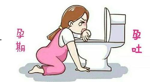 吃瓜能缓解孕吐吗视频,轻松缓解孕期不适