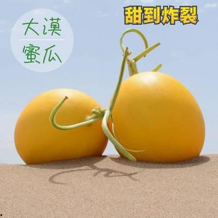 小二哈吃蜜瓜视频大全,萌宠欢乐吃瓜瞬间大盘点