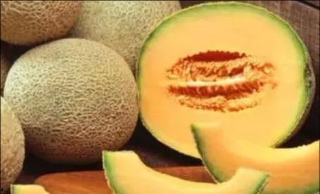 吃一口哈密瓜视频,尽享甜蜜滋味