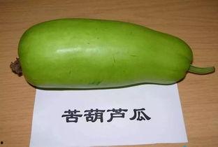 吃葫芦瓜做法窍门视频