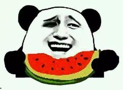 吃瓜磕脸视频大全,趣味横生的表情包盛宴