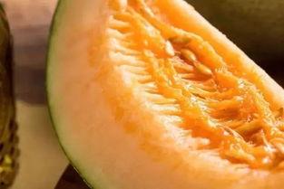 怎么吃山东蜜瓜好吃呢视频,视频教你如何品尝佳肴