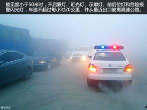 浙江撞车吃瓜事件真相视频,真相视频揭示惊人内幕