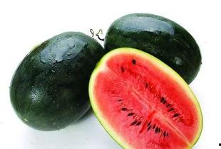 小孩吃黑蜜瓜好吗视频大全