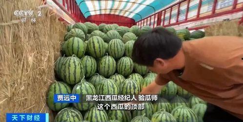 莒南红衣哥吃瓜视频