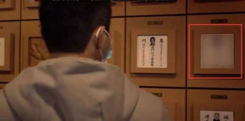 优雅吃瓜老头子图片视频